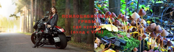 сатива Алзамай