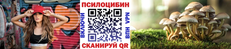 где купить наркотик  нарко площадка наркотические препараты  Галлюциногенные грибы мухоморы  Карабаново 